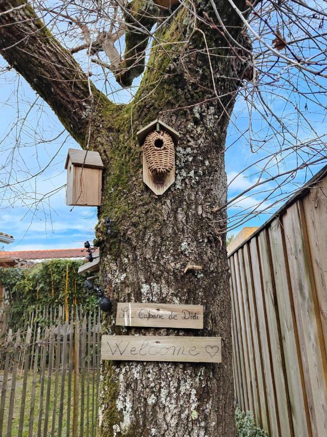 La Cabane De Didi Andernos-les-Bains Bagian luar foto